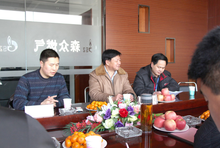 林口县政府与星空-中国一站式星空体育服务官网燃气项目洽谈.png